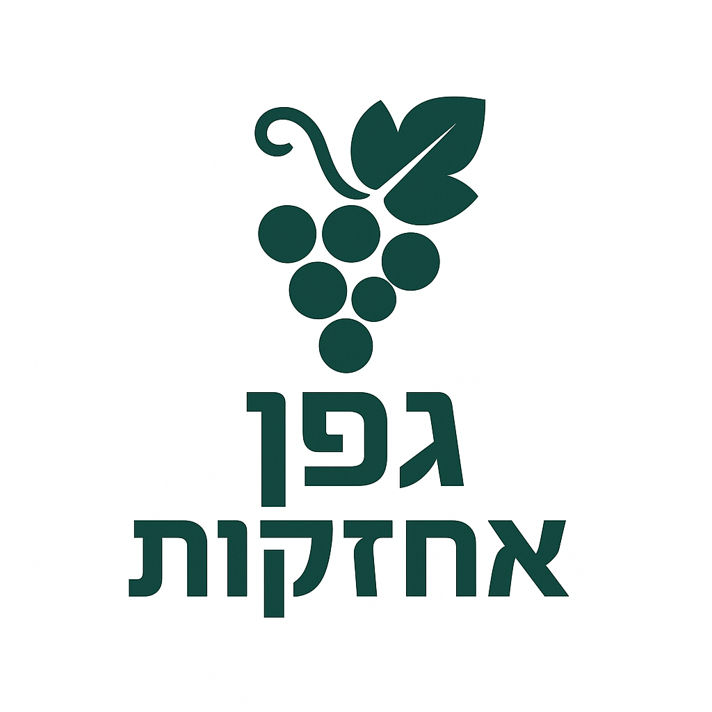 גפן אחזקות